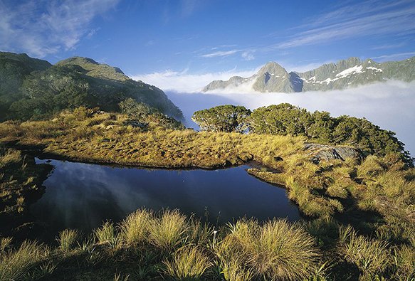 Alpine Tarn