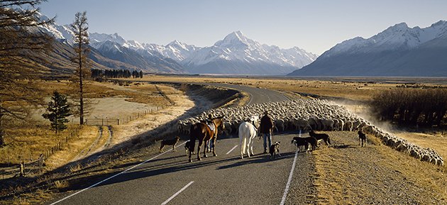 Dawn Muster, Mount Cook