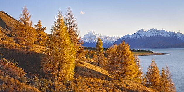 Lake Pukaki