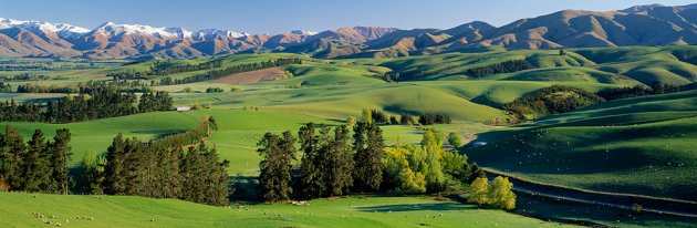 Fairlie Farmland