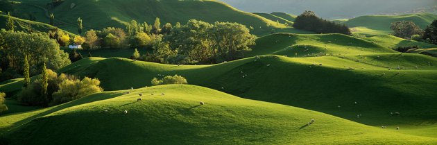 Taihape Farmland.