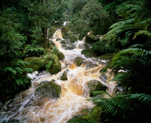 Waterfall in Westland