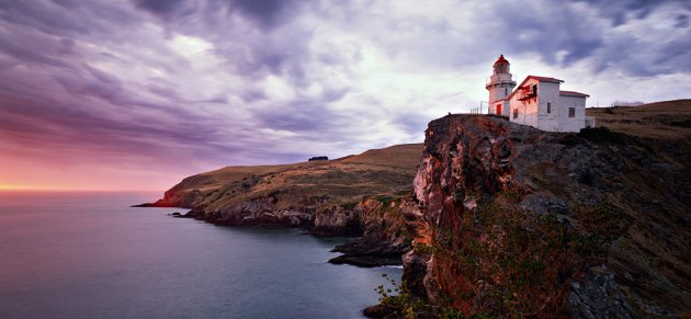 Taiaroa Head