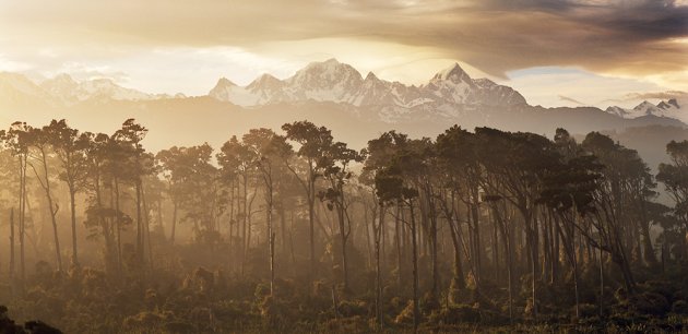 Mount Tasman and Cook