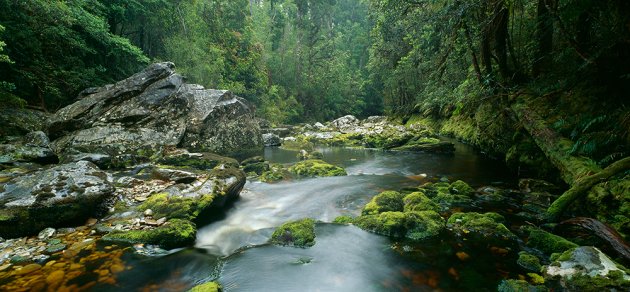 Okarito River