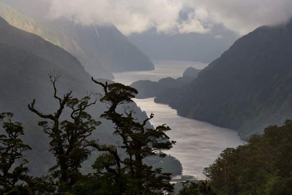 Doubtful Sound