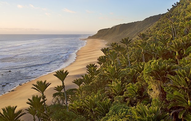 Kahurangi Coast