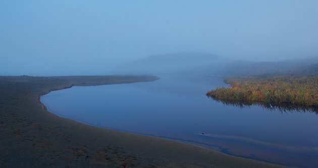 Blue Dawn