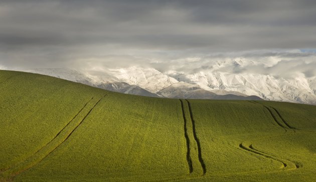 Spring Snowfall