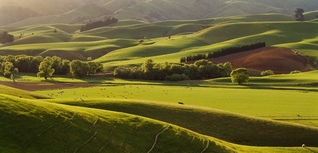 North Canterbury