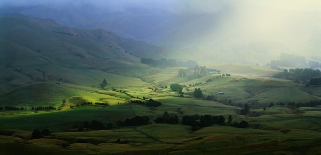 Waipukurau Farmland