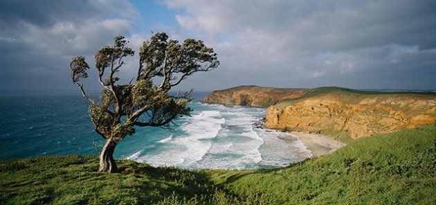 Chatham Island Coastline