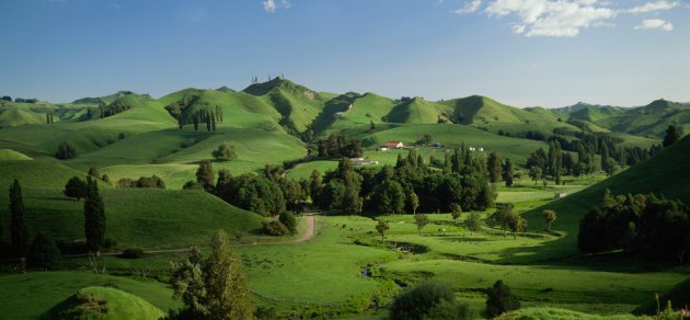 Taumarunui Farmland